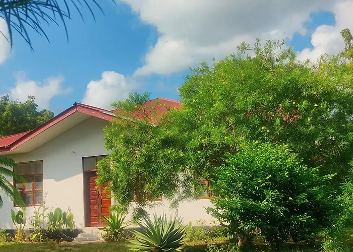 Nungwi Leyla House Bed & Breakfast