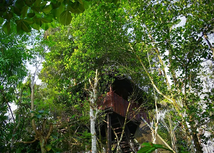 Greens Tree House & Wood House Sultan Bathery