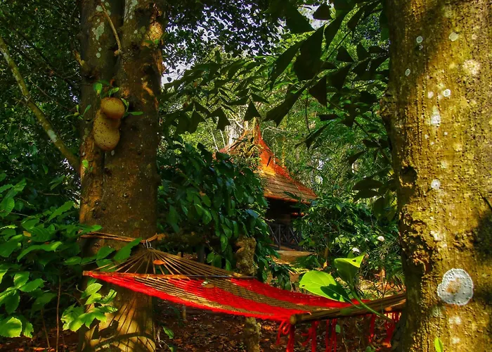 Greens Tree House & Wood House Sultan Bathery