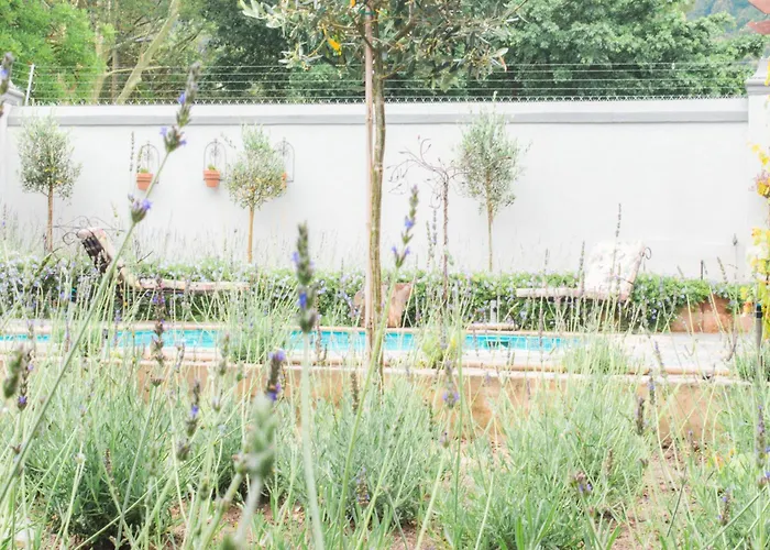 Olive Tree Boutique Hotel Paarl