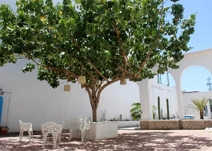 Hotel Casa Hidalgo Torreón