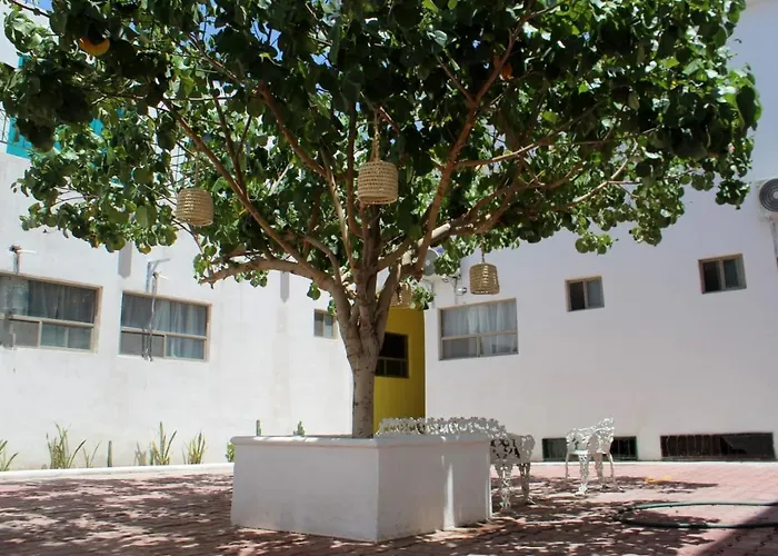 Hotel Casa Hidalgo Torreón
