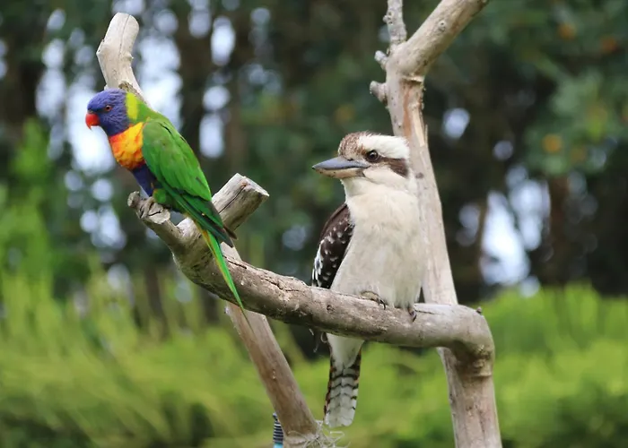 Salamander Bay Bed And Breakfast