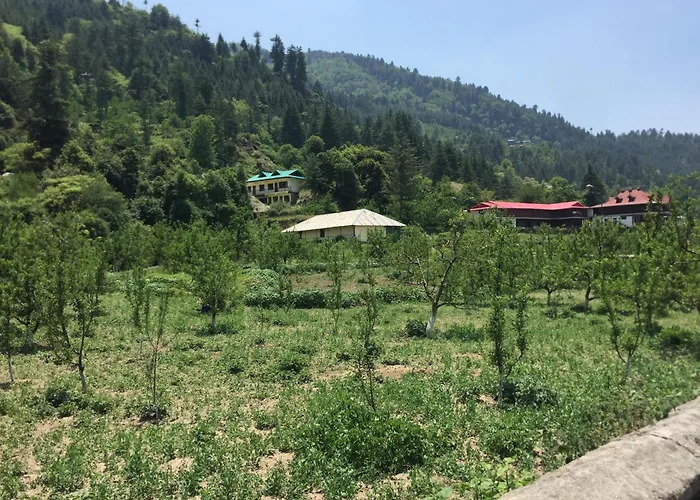 Hotel Jeevan Jyoti Sarahan