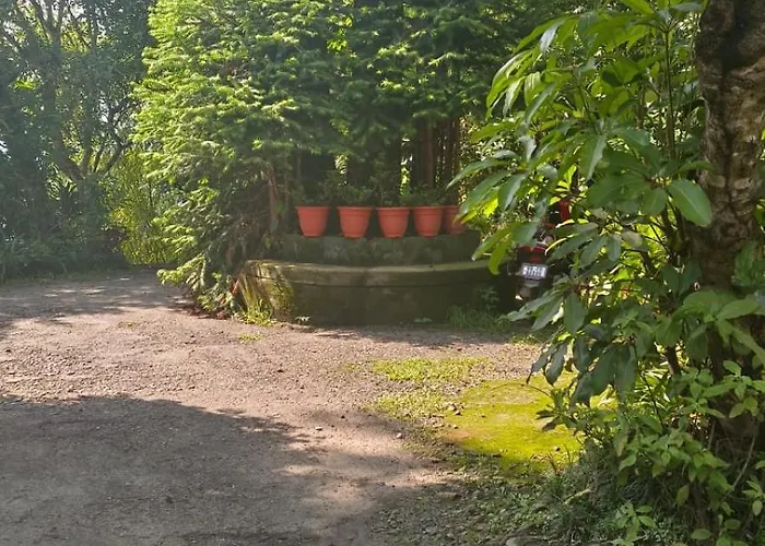Aam'S Courtyard Hotel Kalimpong