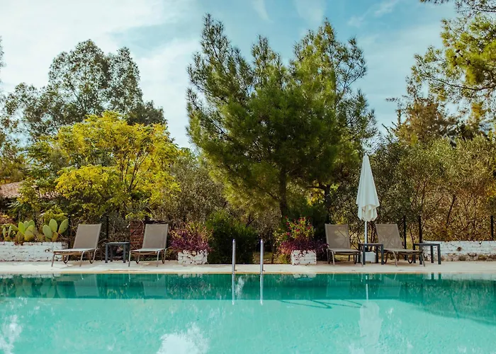 Eski Yeni Tatil Evi Olimpos