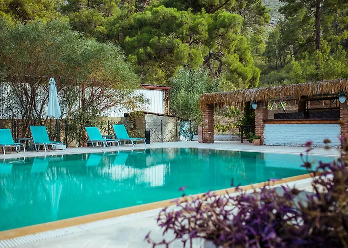Eski Yeni Tatil Evi Olimpos