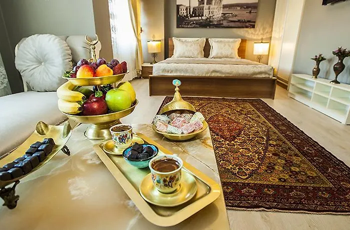 Million Old City Apartment Istanboel