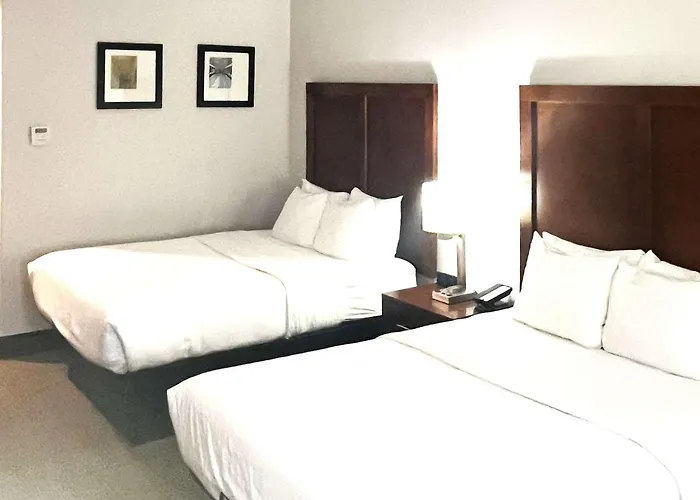 Comfort Inn & Suites Jackson North