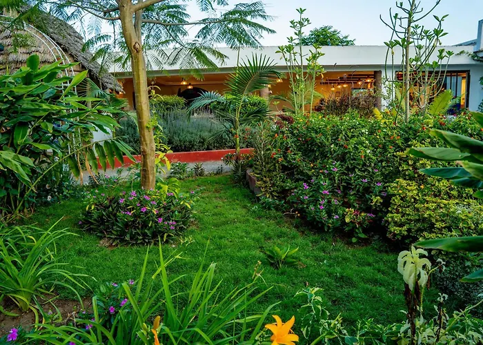 Dan Stam Hotel Arusha