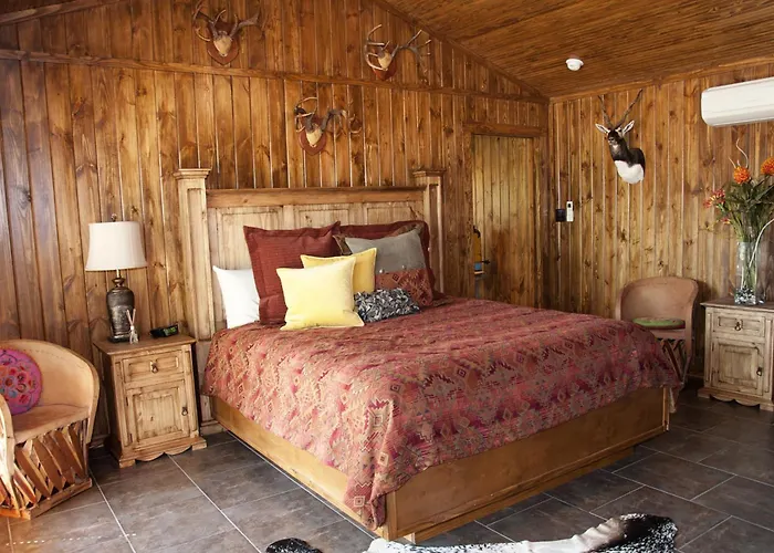 Live Oaks Bed And Breakfast Uvalde