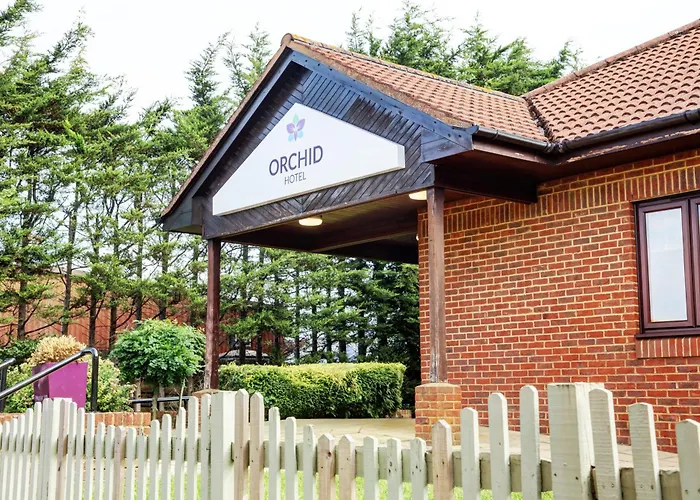 Orchid Hotel, Epsom Surrey, Sure Collection By Best Western
