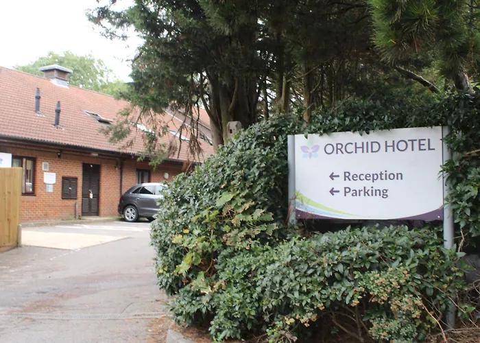 Orchid Hotel, Epsom Surrey, Sure Collection By Best Western