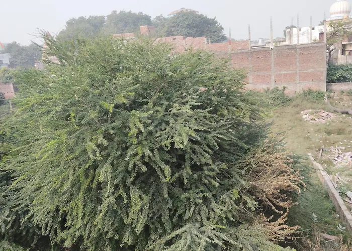 Shri Ram Lala Guest House Ayodhya