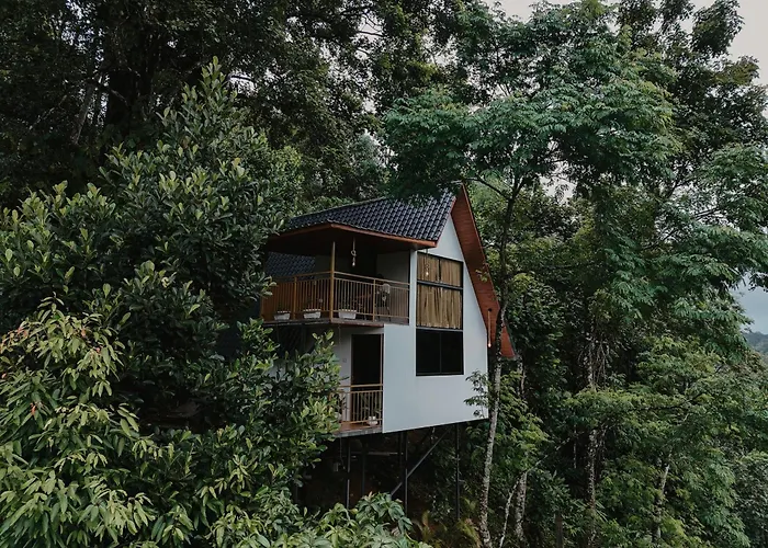 Wild Stories Resort Munnar