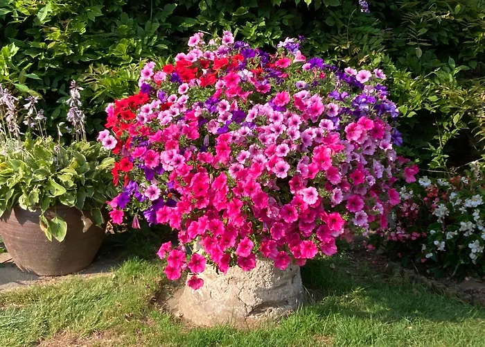 Shute Farm Bed & Breakfast Kingsbridge 