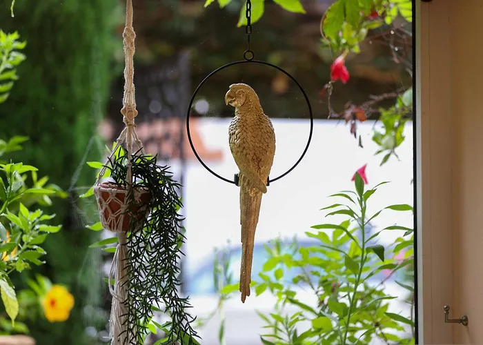 Hotel La Villa Sainte Valerie Adults Only Juan-les-Pins