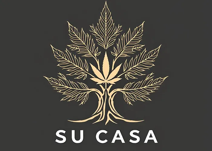Su Casa Cbd 420 Wellness Centre Ngo Hotel Pietermaritzburg