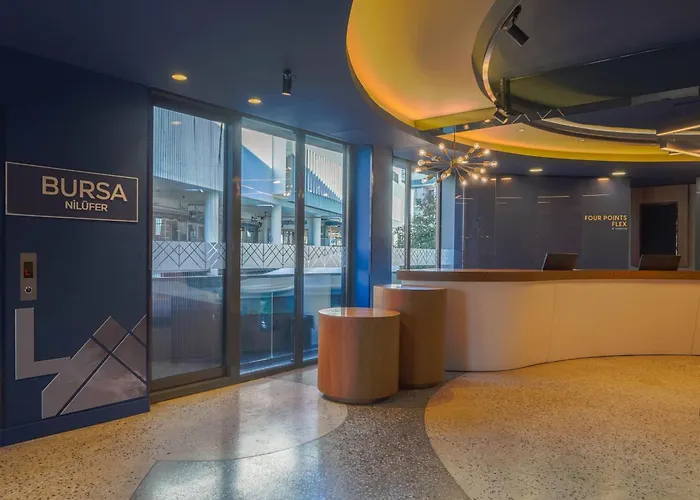 Four Points Flex By Sheraton Bursa Niluefer