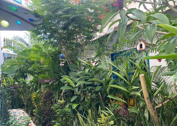 Maison Bacalar