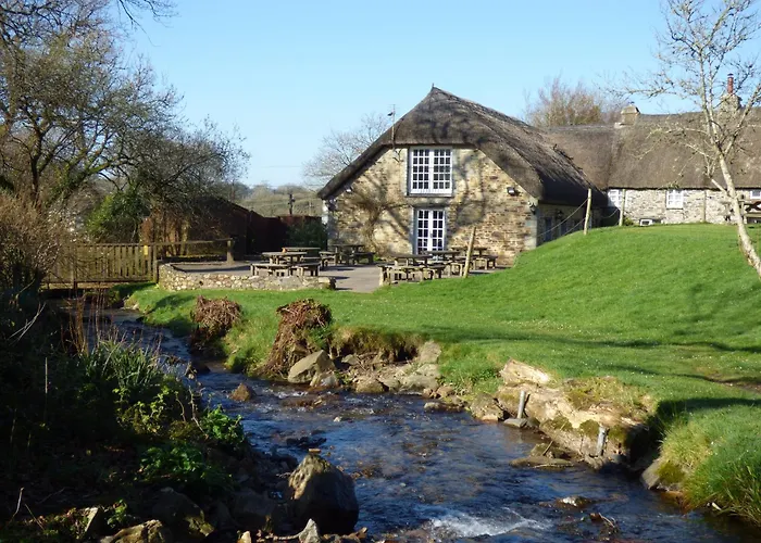 Bearslake Inn Okehampton