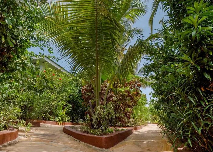 Nyumbani Residence Suites Jambiani 