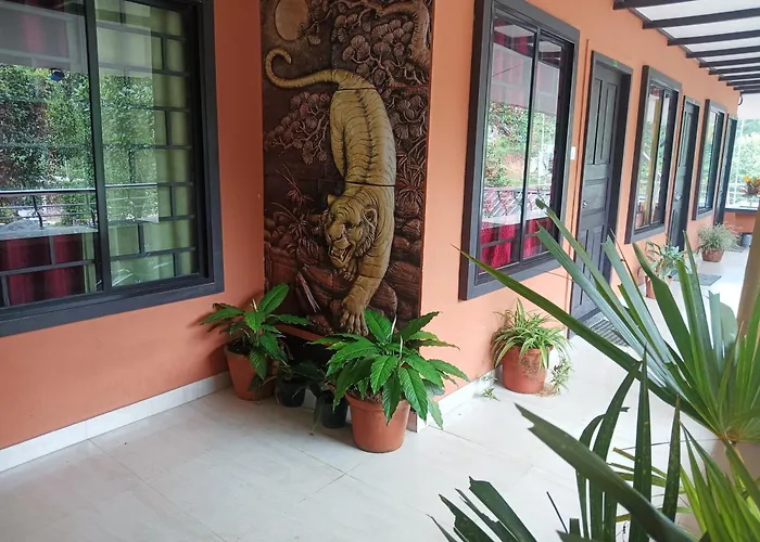 Jungle Valley Ayurvedic Spa Resort Meppadi