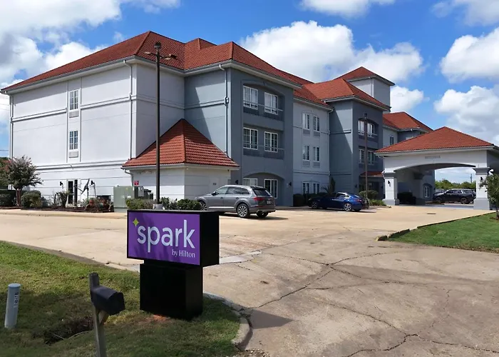 Spark By Hilton Brandon