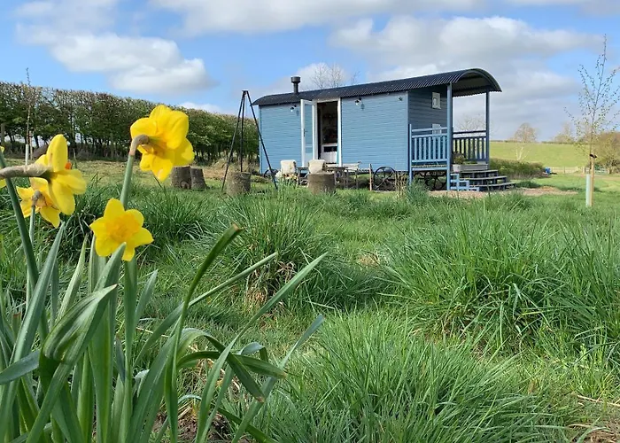 Westfield House Farm Bed & Breakfast Rothbury