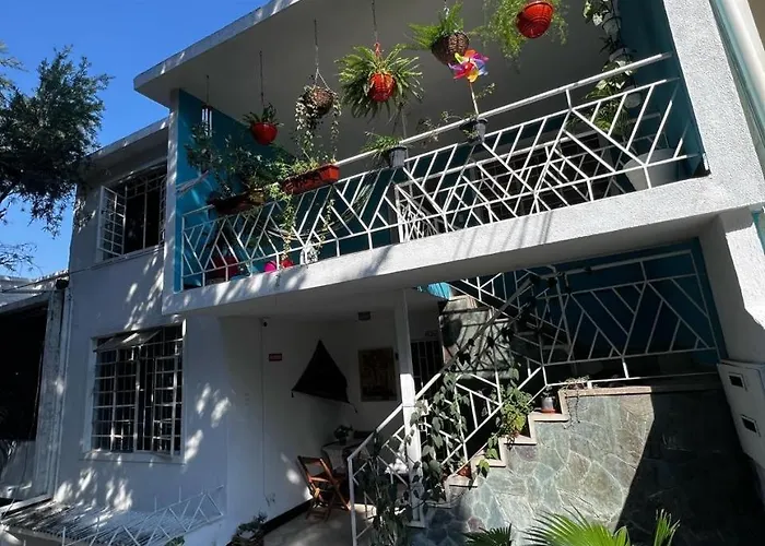 Hotel Casa Mandragora Cali