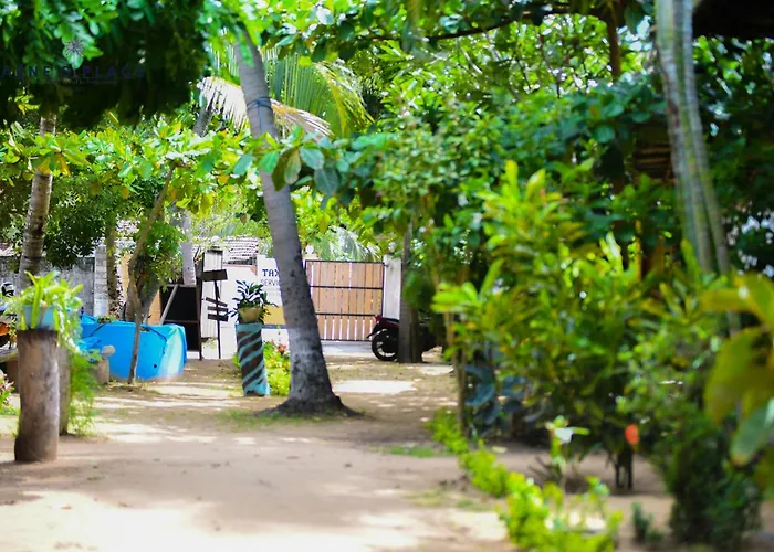Arne'S Place Arugam Bay