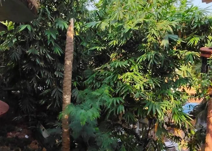 Arambol Beach Laxmi Guest House