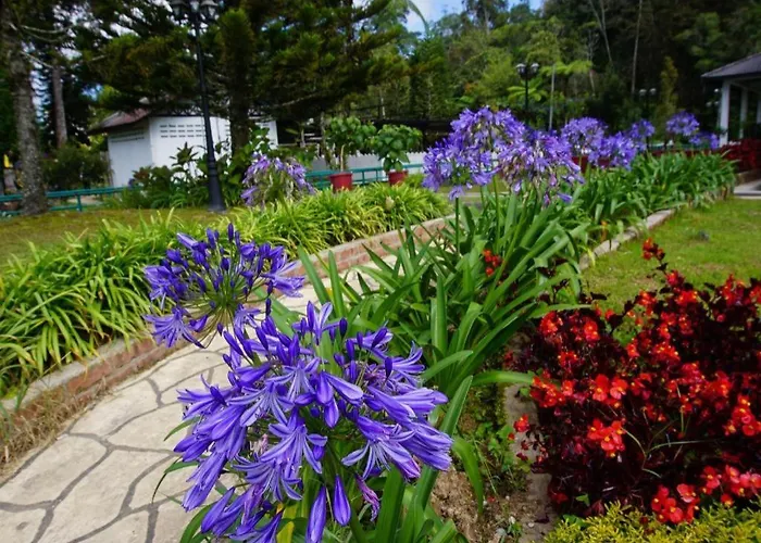 Oyo 44029 Tudor Home Inn Cameron Highlands