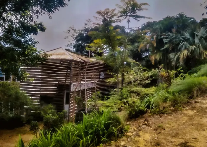 Bed and Breakfast Jungle Tree House Rangala Kandy