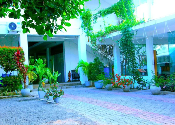 Single Fin Weligama Hotel