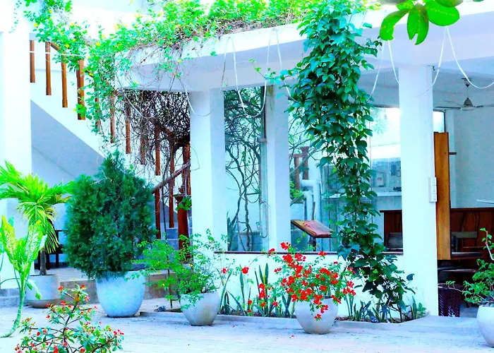 Single Fin Weligama Hotel