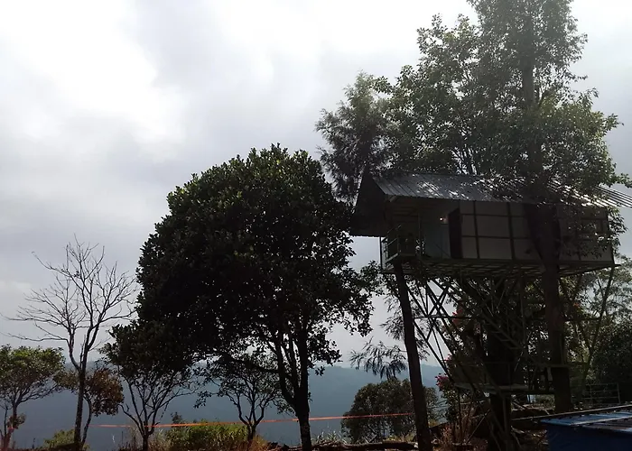 Freedom Resorts Chinnakanal