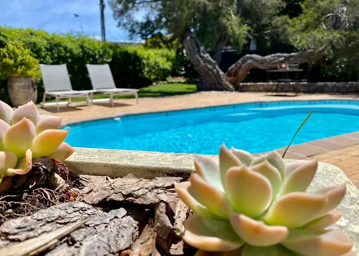 Anchor'S Rest Hotel Hermanus