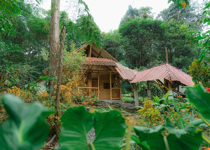 Finca Las Palmas Ecolodge Puyo