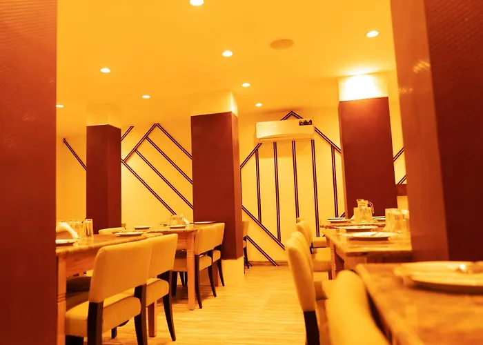 The Flamboyant Natraj Hotel Bharuch