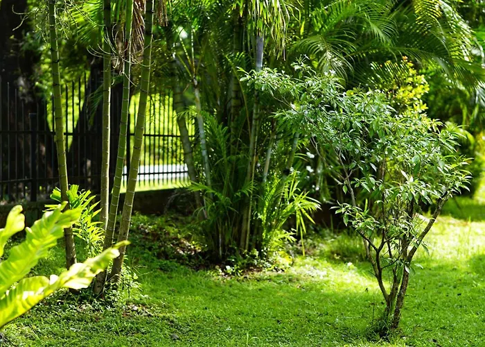 Lavish Layer Homestay Sigiriya