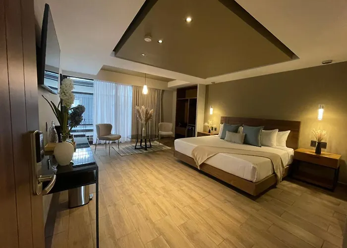 Casa Olea Hotel Mexico City