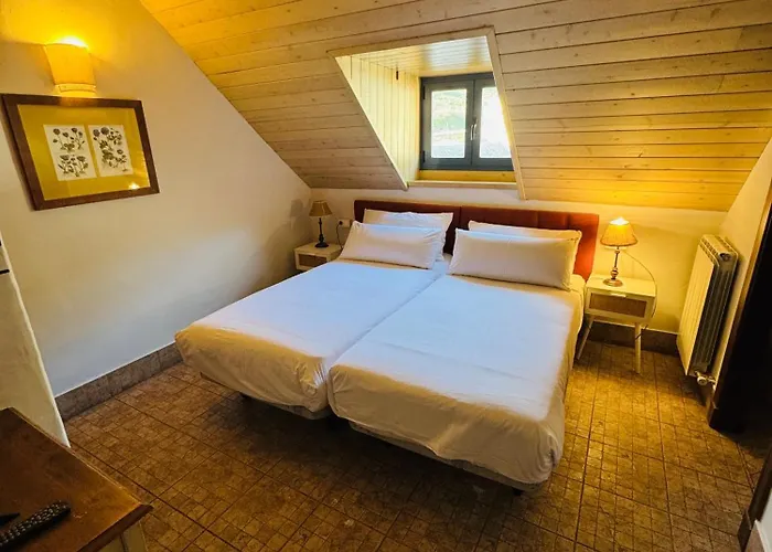 Hostal Nau Pradets Vielha