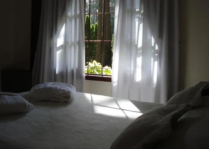 Hotel La Mansion del Bosque Mar de Las Pampas