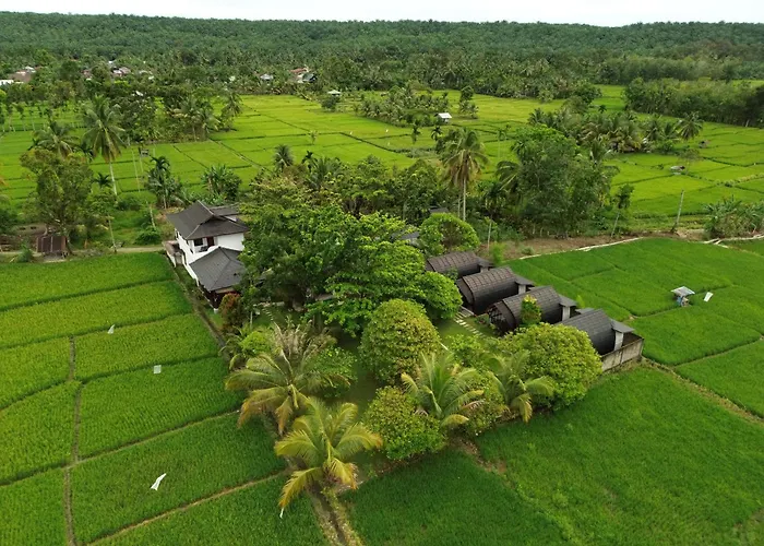Gino'S Place - Guest House & Jungle Trekking Bukit Lawang
