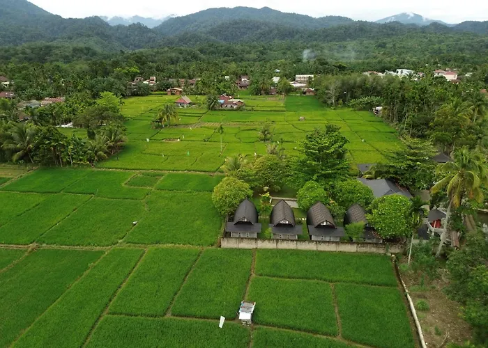 Gino'S Place - Guest House & Jungle Trekking Bukit Lawang