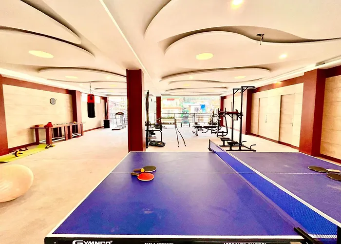 Vista Resort, Manali - ! Near Mall Road !! Hot & Cold Ac Rooms !! Best Selling !! Big Parking !! Luxury Collection !! Open Terrace !! Lift !! Playing Zone !! Property Of The Year !