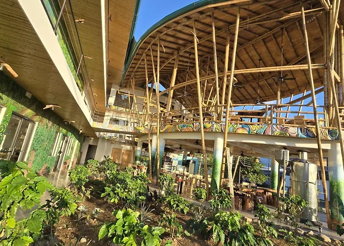 Bonding Coffee Roaster Cafe & Hotel Quepos