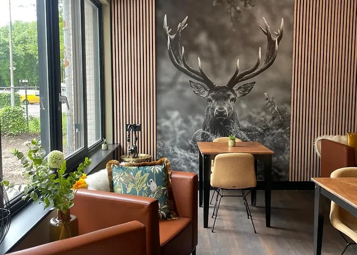 The Lodge Best