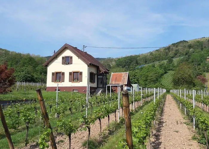 Dandelion Bed & Breakfast Ribeauvillé